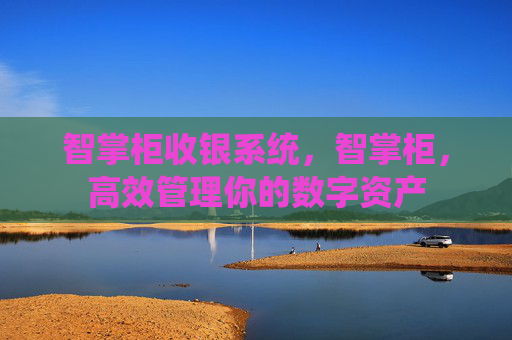 智掌柜收银系统，智掌柜，高效管理你的数字资产