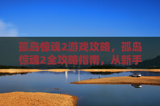 孤岛惊魂2游戏攻略，孤岛惊魂2全攻略指南，从新手到高手的完美旅程