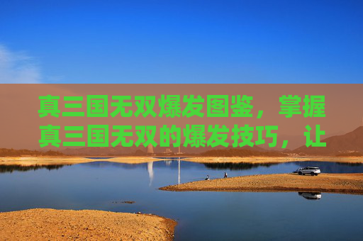 真三国无双爆发图鉴,掌握真三国无双的爆发技巧,让你的战斗更加致命! 真三国无双爆发图鉴,掌握真三国无双的爆发技巧,让你的战斗更加致命!