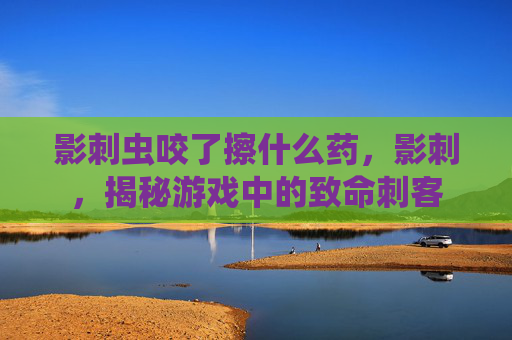 影刺虫咬了擦什么药,影刺,揭秘游戏中的致命刺客 影刺虫咬了擦什么药,影刺,揭秘游戏中的致命刺客