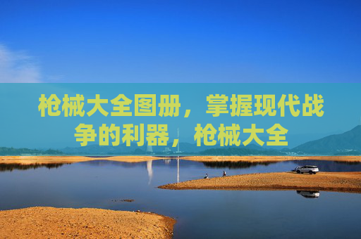 枪械大全图册,掌握现代战争的利器,枪械大全 枪械大全图册,掌握现代战争的利器,枪械大全