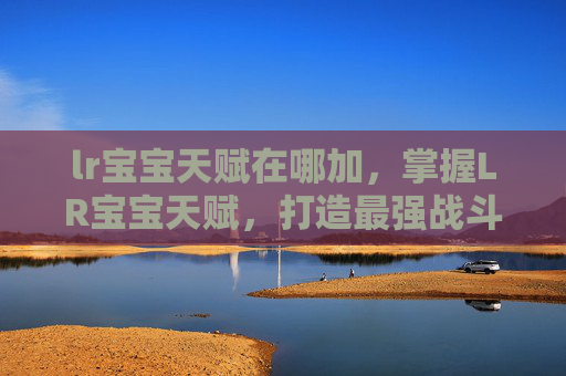 lr宝宝天赋在哪加，掌握LR宝宝天赋，打造最强战斗伙伴