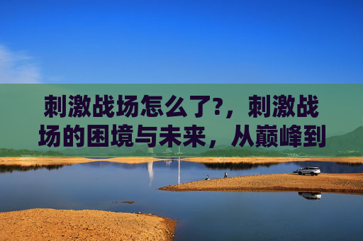 刺激战场怎么了?，刺激战场的困境与未来，从巅峰到低谷的反思