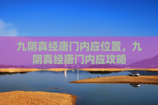 九阴真经唐门内应位置，九阴真经唐门内应攻略