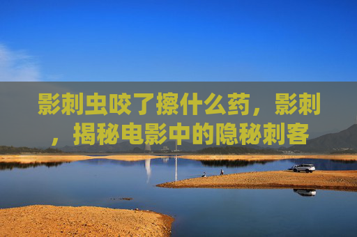 影刺虫咬了擦什么药，影刺，揭秘电影中的隐秘刺客