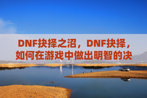 DNF抉择之沼，DNF抉择，如何在游戏中做出明智的决策