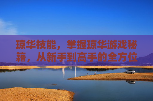 琼华技能,掌握琼华游戏秘籍,从新手到高手的全方位攻略 琼华技能,掌握琼华游戏秘籍,从新手到高手的全方位攻略