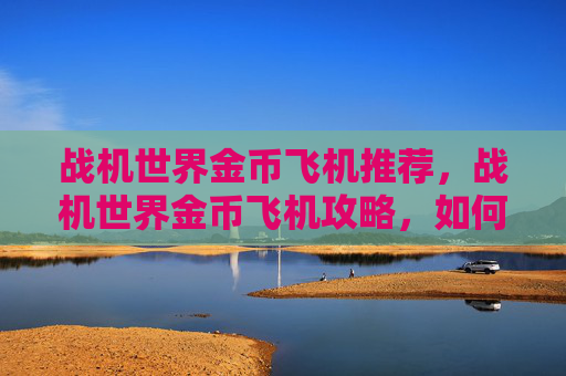 战机世界金币飞机推荐，战机世界金币飞机攻略，如何在游戏中赚取和提升你的金币飞机