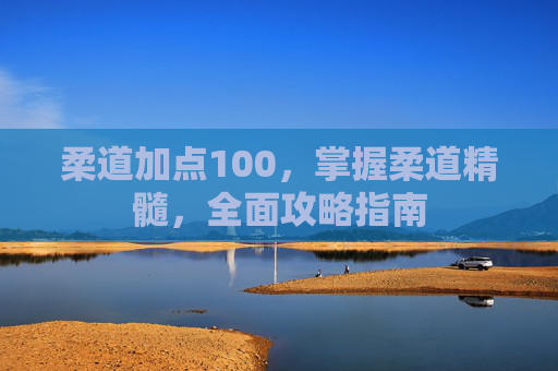 柔道加点100，掌握柔道精髓，全面攻略指南