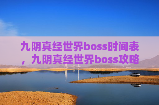 九阴真经世界boss时间表，九阴真经世界boss攻略