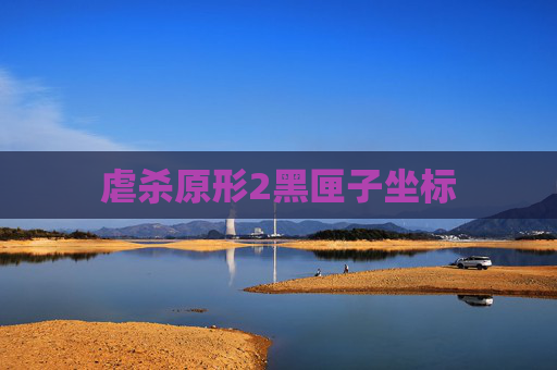虐杀原形2黑匣子坐标 虐杀原形2黑匣子坐标