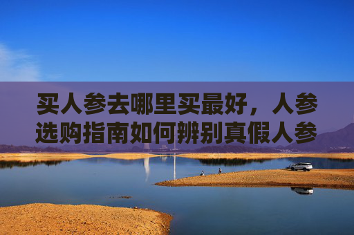 买人参去哪里买最好，人参选购指南如何辨别真假人参，挑选最适合您的滋补佳品