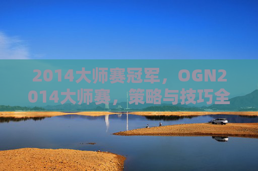 2014大师赛冠军,OGN2014大师赛,策略与技巧全解析 2014大师赛冠军,OGN2014大师赛,策略与技巧全解析