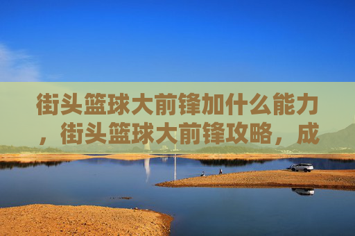 街头篮球大前锋加什么能力,街头篮球大前锋攻略,成为场上的主宰者 街头篮球大前锋加什么能力,街头篮球大前锋攻略,成为场上的主宰者