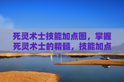 死灵术士技能加点图，掌握死灵术士的精髓，技能加点攻略