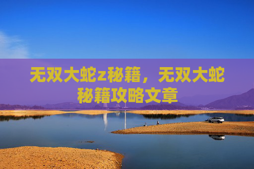 无双大蛇z秘籍，无双大蛇秘籍攻略文章
