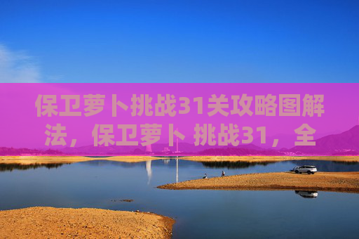 保卫萝卜挑战31关攻略图解法,保卫萝卜 挑战31,全面攻略 保卫萝卜挑战31关攻略图解法,保卫萝卜 挑战31,全面攻略