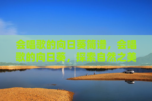 会唱歌的向日葵简谱，会唱歌的向日葵，探索自然之美与音乐的和谐交响