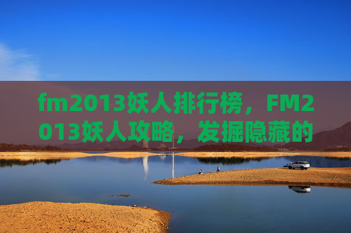 fm2013妖人排行榜，FM2013妖人攻略，发掘隐藏的足球天才
