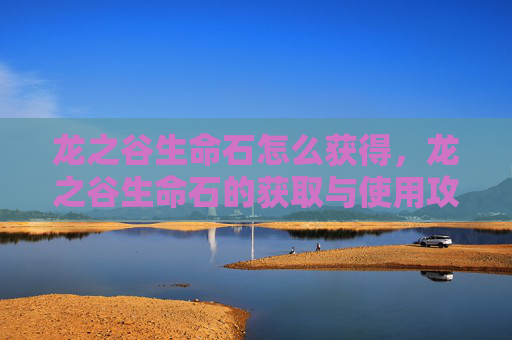 龙之谷生命石怎么获得,龙之谷生命石的获取与使用攻略 龙之谷生命石怎么获得,龙之谷生命石的获取与使用攻略