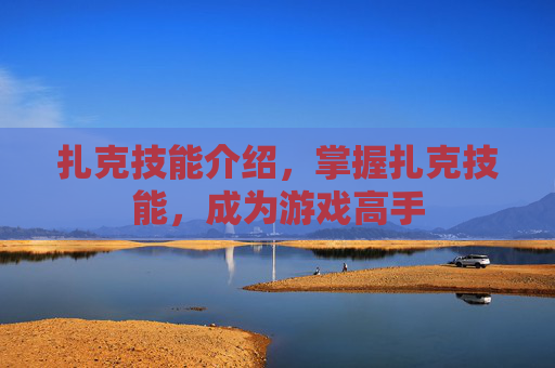 扎克技能介绍，掌握扎克技能，成为游戏高手