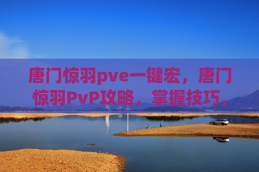 唐门惊羽pve一键宏，唐门惊羽PvP攻略，掌握技巧，成为PVP之王