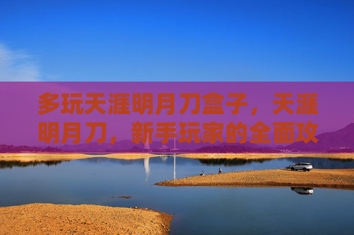 多玩天涯明月刀盒子，天涯明月刀，新手玩家的全面攻略