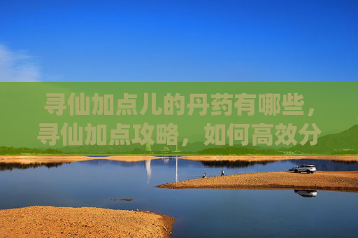 寻仙加点儿的丹药有哪些，寻仙加点攻略，如何高效分配角色属性以提升战斗效率？