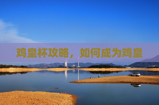 鸡皇杯攻略，如何成为鸡皇