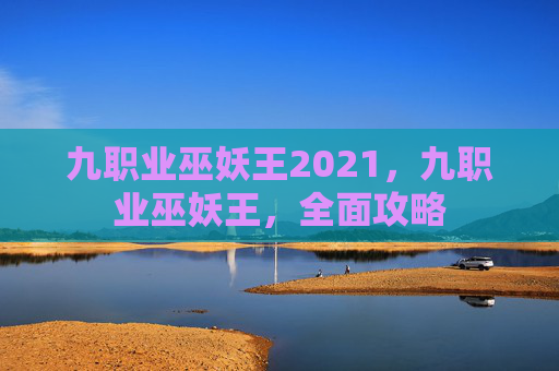 九职业巫妖王2021，九职业巫妖王，全面攻略