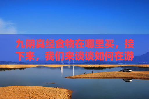 九阴真经食物在哪里买，接下来，我们来谈谈如何在游戏中购买食物。在九阴真经中，玩家可以通过以下几种方式购买食物