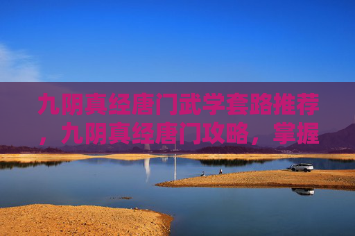 九阴真经唐门武学套路推荐，九阴真经唐门攻略，掌握秘籍，成为江湖传奇