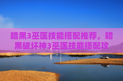 暗黑3巫医技能搭配推荐，暗黑破坏神3巫医技能搭配攻略