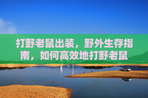 打野老鼠出装,野外生存指南,如何高效地打野老鼠 打野老鼠出装,野外生存指南,如何高效地打野老鼠