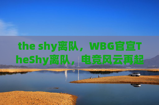 the shy离队，WBG官宣TheShy离队，电竞风云再起波澜