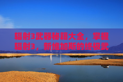 辐射3武器秘籍大全，掌握辐射3，新维加斯的终极武器秘籍，成为传奇战士