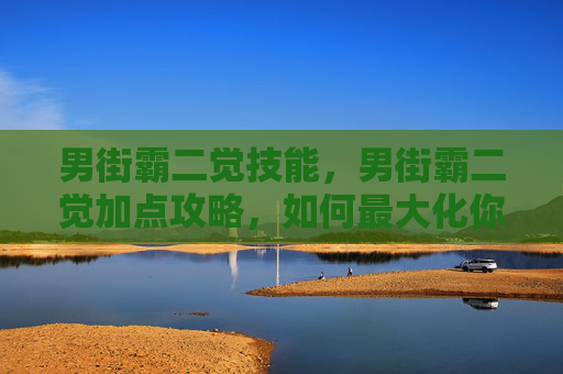 男街霸二觉技能，男街霸二觉加点攻略，如何最大化你的战斗力