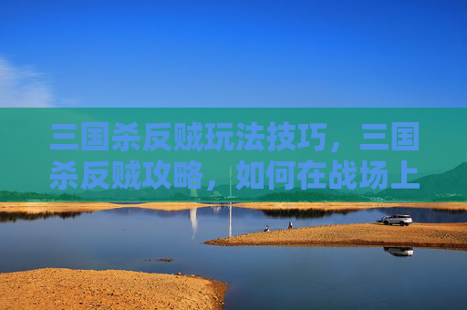三国杀反贼玩法技巧，三国杀反贼攻略，如何在战场上成为真正的反手