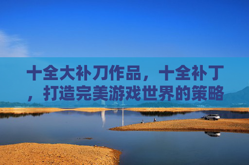 十全大补刀作品,十全补丁,打造完美游戏世界的策略指南 十全大补刀作品,十全补丁,打造完美游戏世界的策略指南