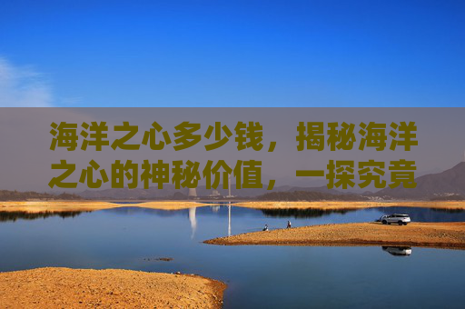 海洋之心多少钱，揭秘海洋之心的神秘价值，一探究竟