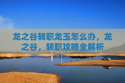 龙之谷转职龙玉怎么办，龙之谷，转职攻略全解析