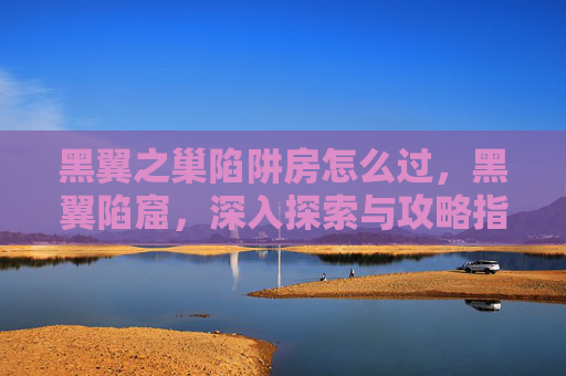 黑翼之巢陷阱房怎么过,黑翼陷窟,深入探索与攻略指南 黑翼之巢陷阱房怎么过,黑翼陷窟,深入探索与攻略指南
