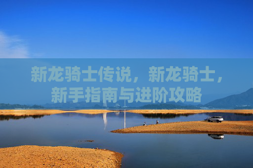 新龙骑士传说，新龙骑士，新手指南与进阶攻略