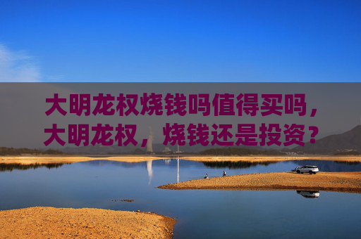 大明龙权烧钱吗值得买吗，大明龙权，烧钱还是投资？深度解析游戏经济系统