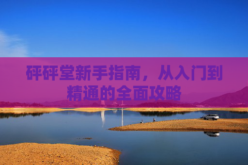 砰砰堂新手指南，从入门到精通的全面攻略