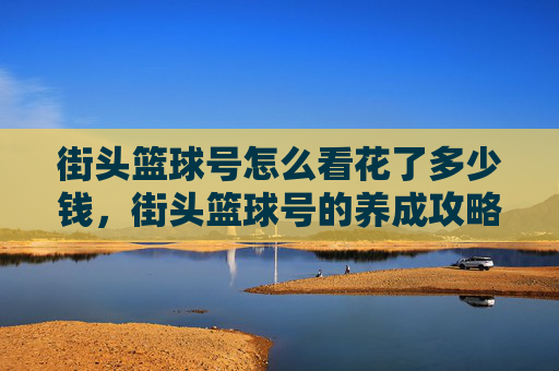 街头篮球号怎么看花了多少钱，街头篮球号的养成攻略，从新手到高手的全面指南