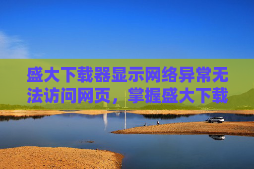 盛大下载器显示网络异常无法访问网页，掌握盛大下载器2010，高效下载与管理技巧