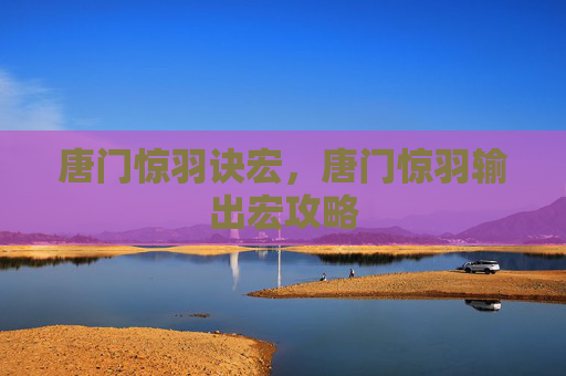 唐门惊羽诀宏，唐门惊羽输出宏攻略