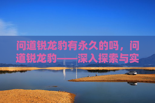 问道锐龙豹有永久的吗，问道锐龙豹——深入探索与实战攻略