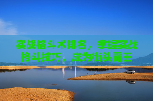 实战格斗术排名,掌握实战格斗技巧,成为街头霸王 实战格斗术排名,掌握实战格斗技巧,成为街头霸王
